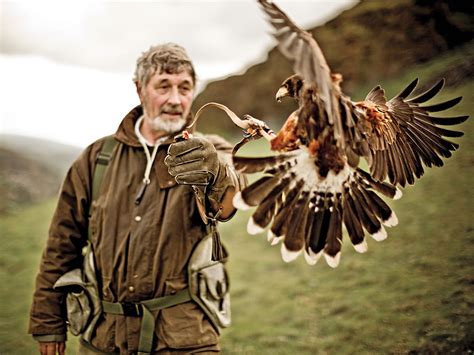 falconry experience scotland